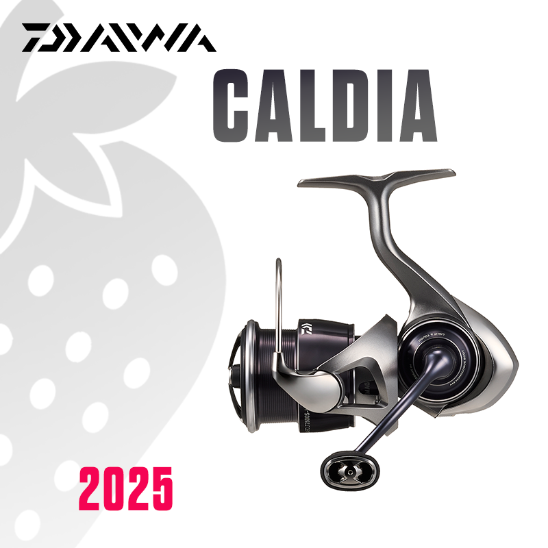 Daiwa Reel Bg - DAIWA 2025 CALDIA LT Mulinello da